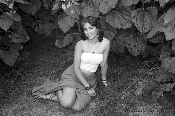 IMG_2317 copy