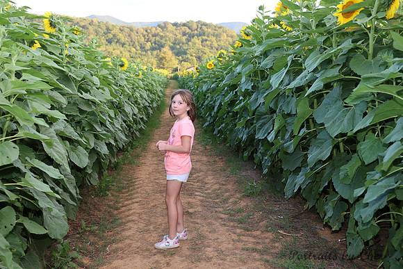 IMG_2553