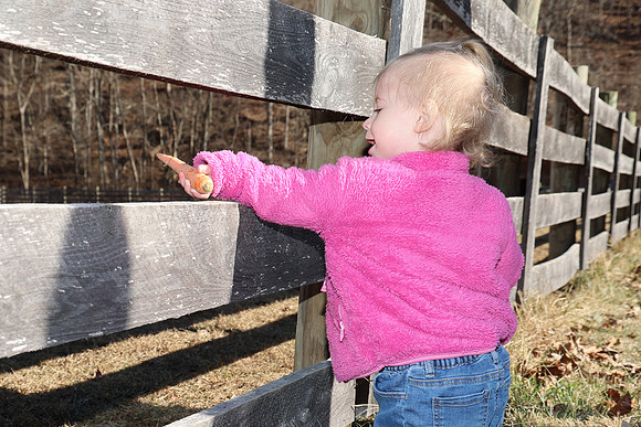 IMG_0048