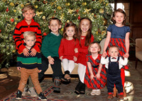 Eight Cousins