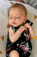 IMG_8489 (2)