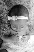 IMG_8505 (2)