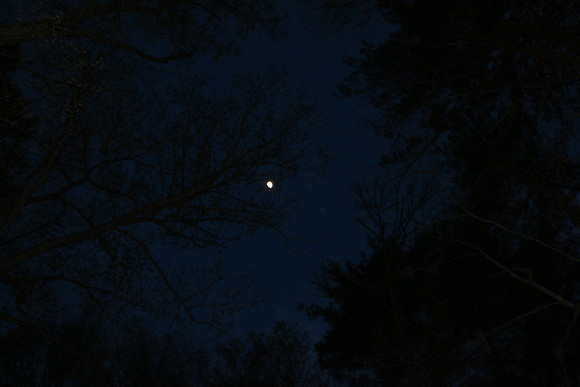 IMG_1652
