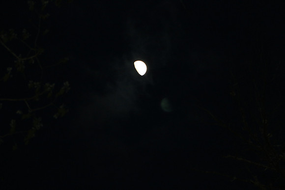 IMG_1657