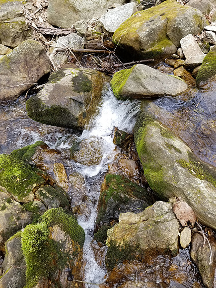 20210423_135448