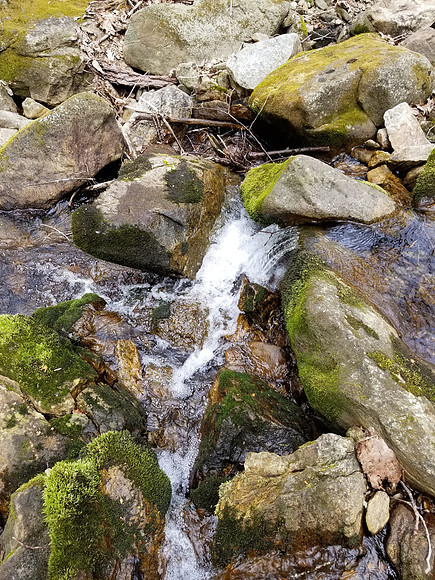 20210423_135453