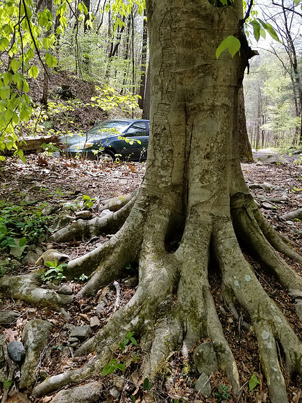 20210421_135901
