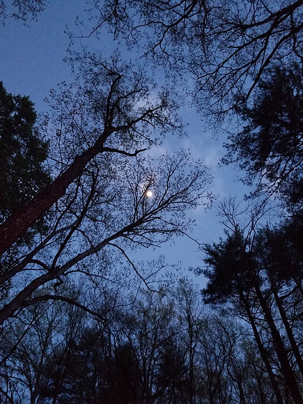 20210421_202316