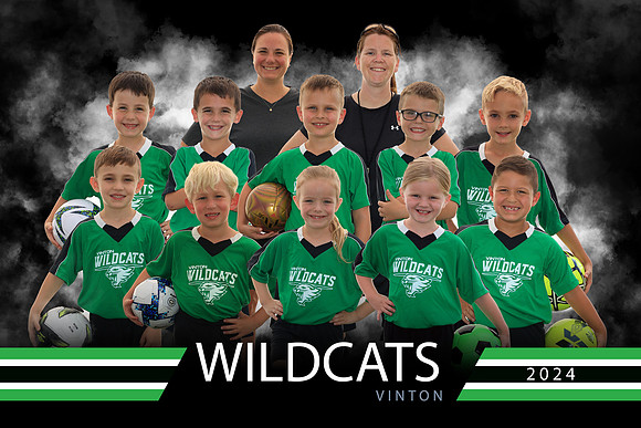 Wildcats team