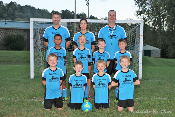 Team
