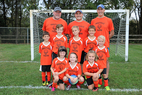 Team