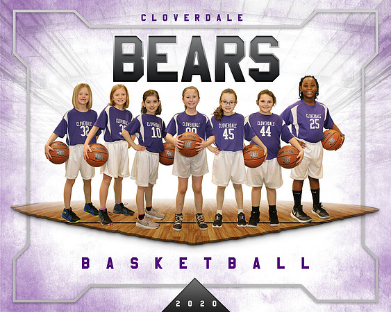 Bears