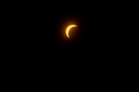 IMG_4783 copy