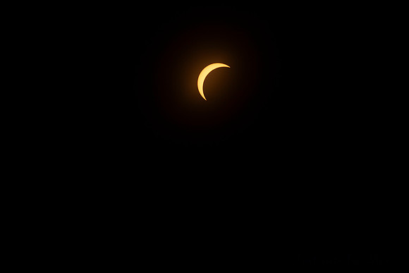 IMG_4798 copy
