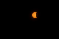 IMG_4684 copy