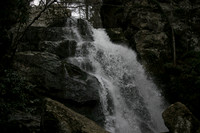 IMG_8554
