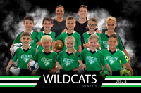 Wildcats team